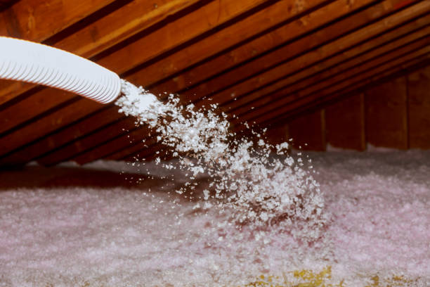 Best Insulation Maintenance and Repair in St Paul Park, MN