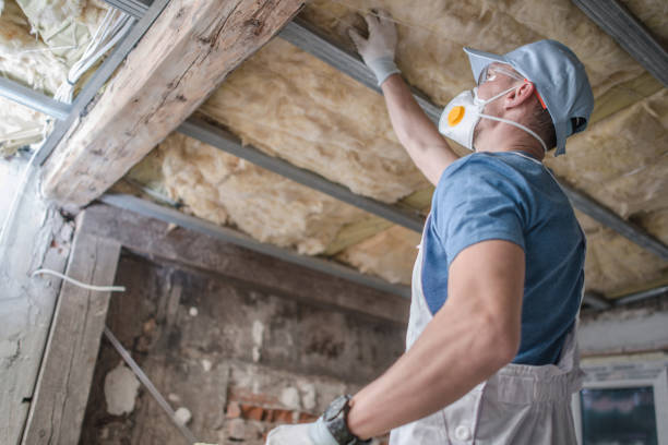 Best Insulation Installation Services in St Paul Park, MN
