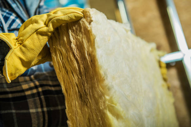 Best Types of Insulation in St Paul Park, MN