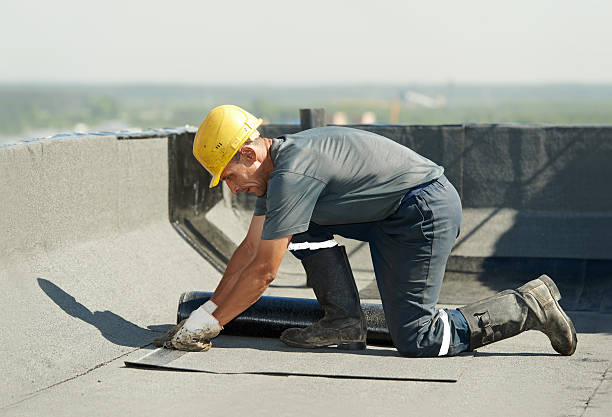 Best Energy Efficiency Solutions in St Paul Park, MN
