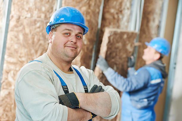 Best Insulation Maintenance and Repair in St Paul Park, MN